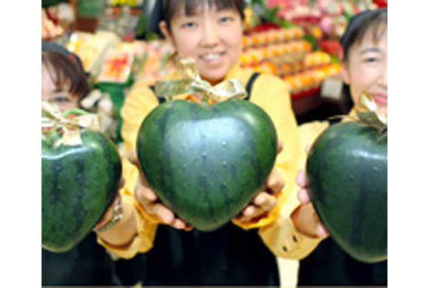 Watermelon